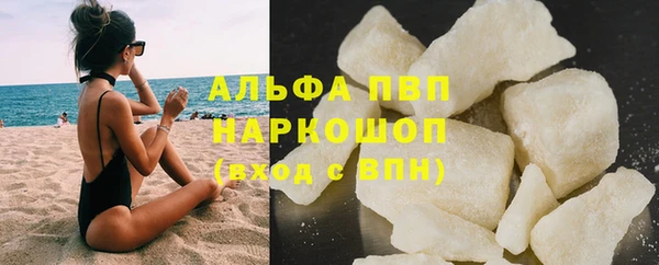 индика Богданович