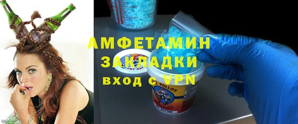 шишки Богородицк