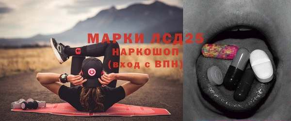 ПСИЛОЦИБИНОВЫЕ ГРИБЫ Богородск