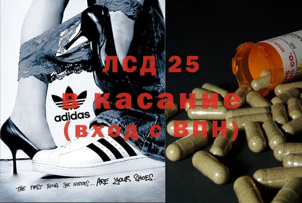 шишки Богородицк