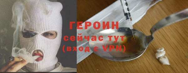 индика Богданович