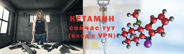 индика Богданович