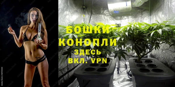 ПСИЛОЦИБИНОВЫЕ ГРИБЫ Богородск