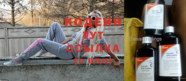 шишки Богородицк