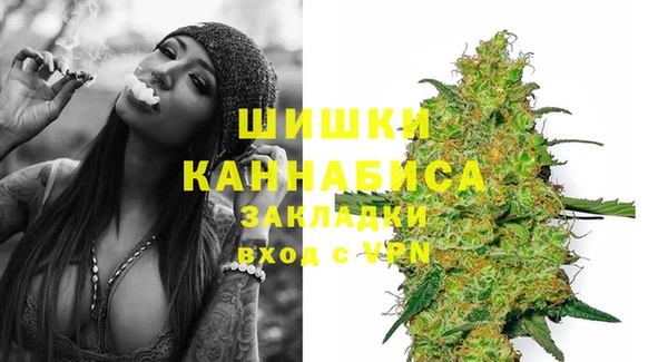 шишки Богородицк