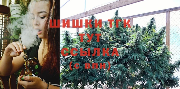 таблы Бородино
