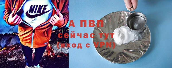 индика Богданович