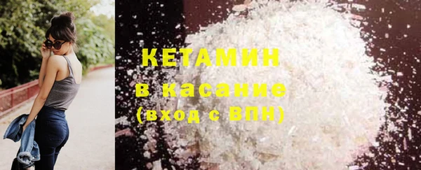 индика Богданович
